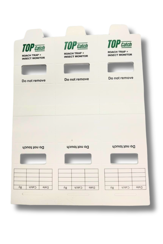 Top Catch Insect Trap and Monitor (80 Pcs / Pk) - ( Size : 25*19cm)