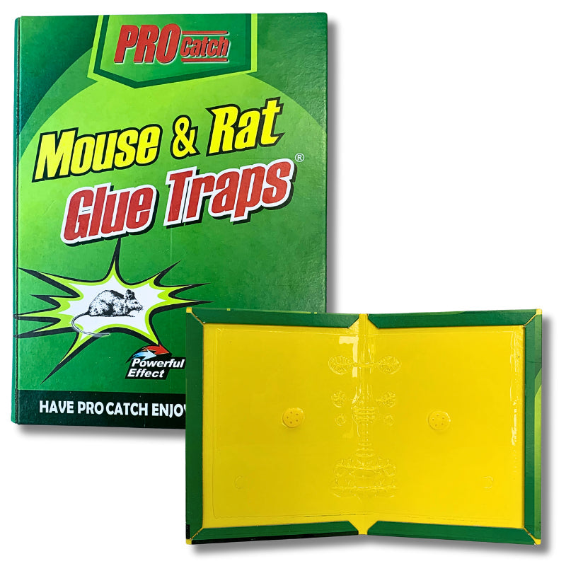 Pro Catch Cardboard Mouse & Rat Glue Trap - Small (16 x 21.5 cm)