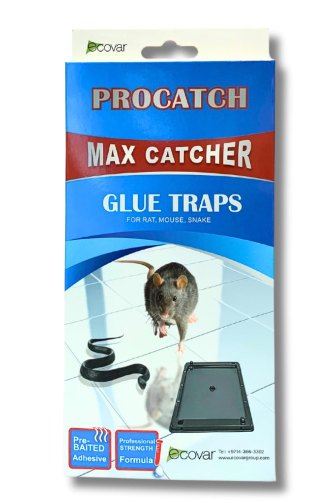 Procatch Rat Glue Trap (Size: 25 x 13 cm)
