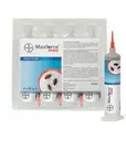 Maxforce Prime Roach Gel 30gm